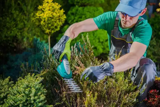 landscaping services La Vista
